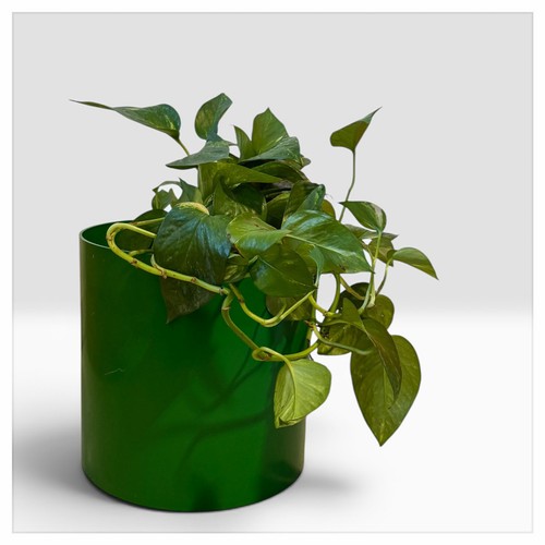 Porte vase vintage kartell - vintage,