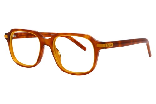 450 lunettes vue - 450€,